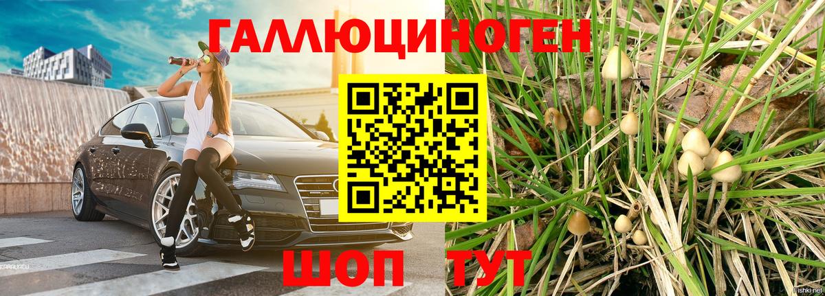 Нягань  закладки  Вход с VPN  Галлюциногенные грибы Psilocybine cubensis  Галлюциногенные грибы мицелий 