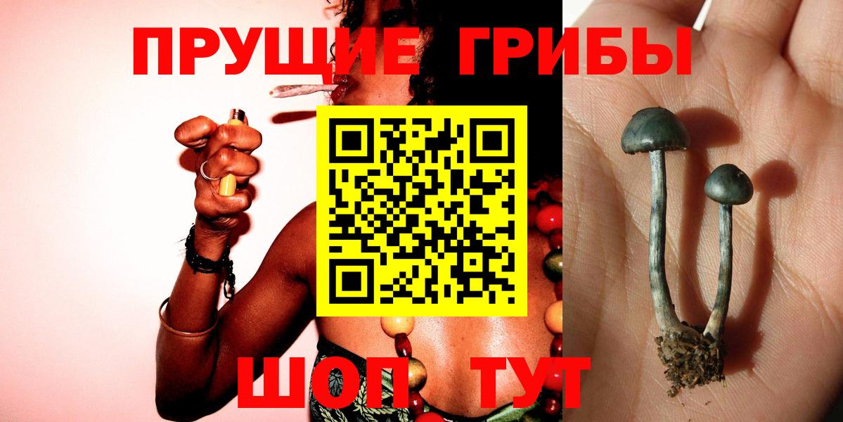 Псилоцибиновые грибы MAGIC MUSHROOMS Нягань
